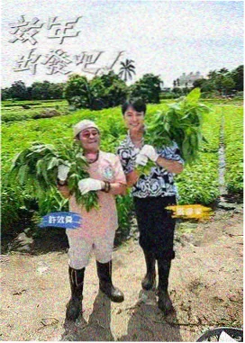 白昼星火